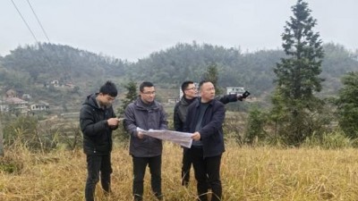 新化县自然资源局开展补充耕地项目入库现场核实工作