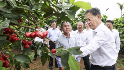 赵乐际在海南调研时强调 贯彻落实十四届全国人大二次会议精神 推动人大工作高质量发展