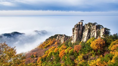 实实施五大行动，促进文旅产业高质量发展