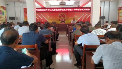 通许县四所楼镇：2024年防返贫监测集中排查 人大代表在行动