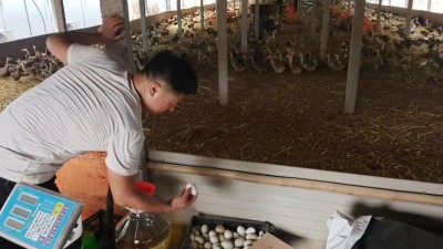 通许县住建局扎实开展驻村工作