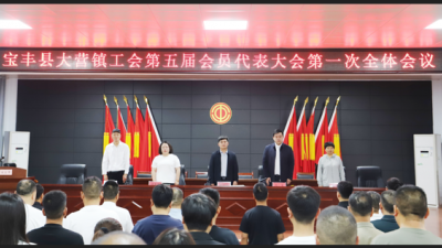 宝丰县大营镇工会换届会议圆满闭幕 共绘工会发展新蓝图
