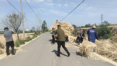 宝丰县张八桥镇：全力推进油菜秸秆清理 严守夏季禁烧防线