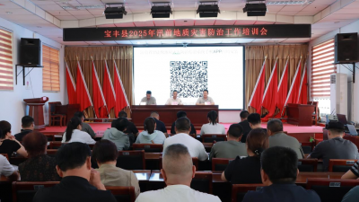 宝丰县自然资源局开展2025年汛前地质灾害防治工作培训