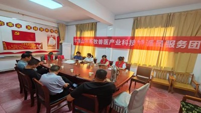 科技赋能畜牧业！平顶山畜牧兽医服务团助力叶县产业升级