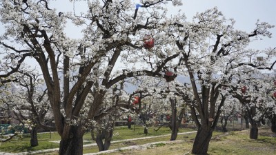 中国新增三项全球重要农业文化遗产