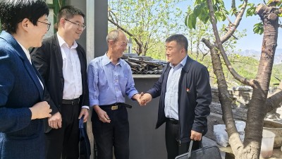 村里来了巡视组