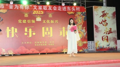田柳镇东头村“音乐有你” 文化惠民，奏响乡村文化新乐章