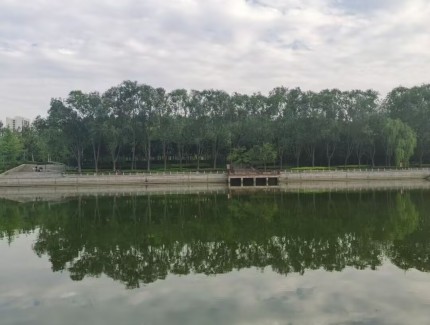 崔战杰     六一赏景诗二首