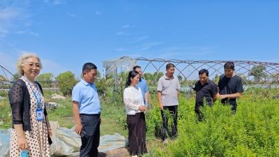 科技赋能花卉产业 平顶山特派员服务团赴叶县开展技术指导