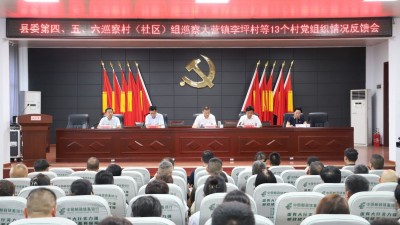 宝丰县大营镇：县委第四、五、六巡察组巡察情况反馈会召开