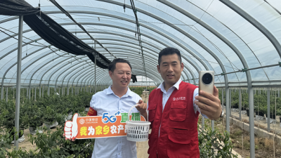 安徽移动砀山县分公司开展直播助农活动