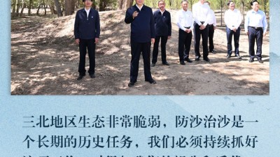 山水林田湖草沙综合治理的北疆实践