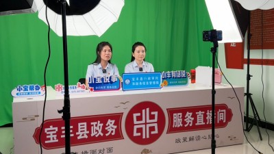 河南宝丰：政务服务从“窗口问”到“在线答”