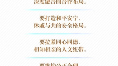 学习新语丨一图学习！习近平这样阐释“中国—中亚精神”深刻内涵
