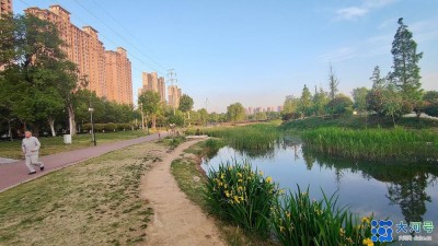 河南禹州：孟夏颍湖美如画