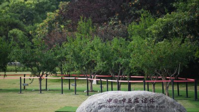 共筑中国—中亚命运共同体——《弘扬“中国—中亚精神”：区域合作的成就、机遇与展望》智库报告解析