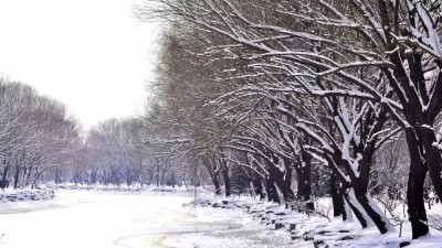 诗海泛舟‖魏愈钦：《春雪》（外一首）