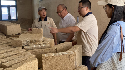 河南宝丰：“专家问诊+技术输血”推动科技资源下沉基层