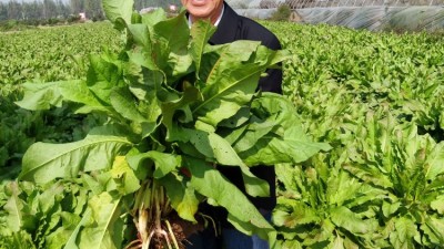 颐和堂·食叶草赋