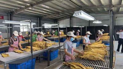 培育健康土壤 彰显百年浓香---河南农业大学成功举办植烟土壤固碳培肥与浓香型烟叶科技成果转化论坛