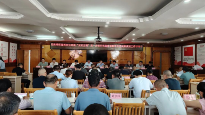 湖北麻城龙池桥街道部署“五访五看”及农村集体“三资”管理专项整治“突击战”工作