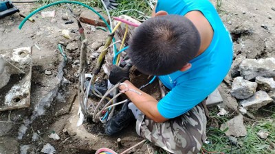 12345联动城管速解决路灯“罢工”问题