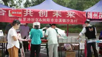 “​城乡对接 村社互进”  乡情在行动