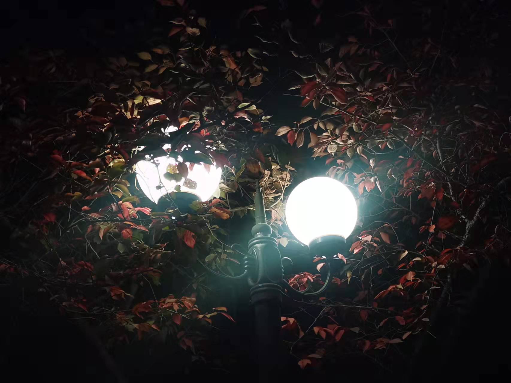 夜色下的路灯