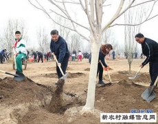 习近平：像对待生命一样对待生态环境