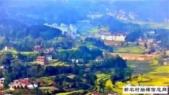 在脱贫攻坚路上绽放芳华——南阳市驻村第一书记群像扫描