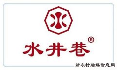 中国“水井巷”在国际展览会上大放异彩