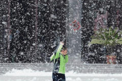 治理飞絮，漯河是认真的！！！身在漯河的你有没有发现今年飞絮少