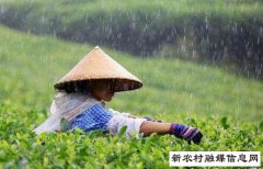 今年“三夏”将有9次降水
