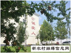做大“面”文章