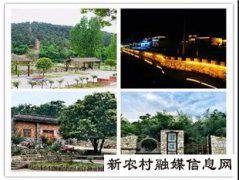 河南省桐柏县新集乡“一村一品”高质量党建促高质量脱贫