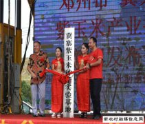 邓州市召开冀文清紫玉米产业扶贫信息发布会