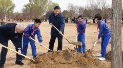 习近平：推动国土绿化不断取得实实在在的成效