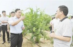 砥砺奋进抓党建 抓实党建促脱贫