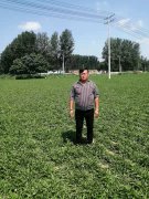 小小蒲公英，种出大文章---于团结