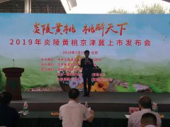 2019炎陵黄桃上市发布会在北京举行