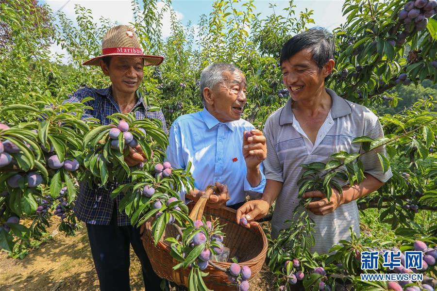 党中央重视思想道德建设关心关爱道德模范纪实