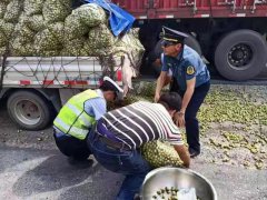 虞城民警帮司机捡拾散落大枣
