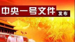 2020年中央一号文件公布