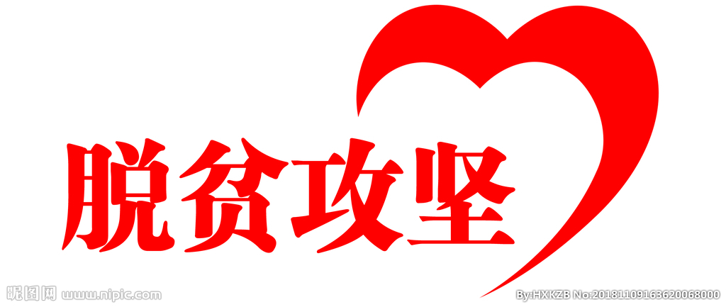 精心组织 扎实工作 确保脱贫攻坚普查质量和成效