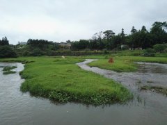 留住乡村人才  助力乡村振兴