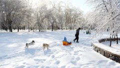 赏雪