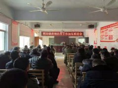 稍岗镇：多措并举战疫情